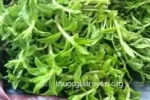 Trị sỏi thận bằng rau om: Bài thuốc dân gian hiệu quả bất ngờ